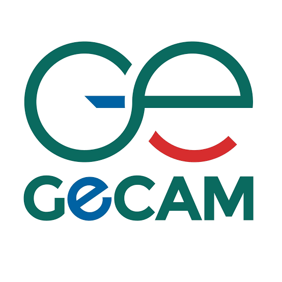 GECAM